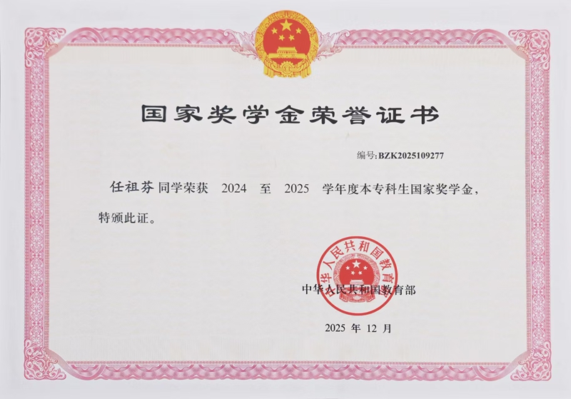 5、榮譽証書。