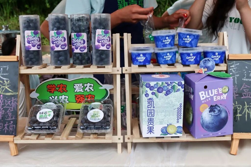 活动现场。