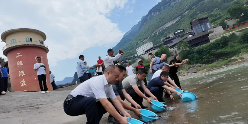 将鱼苗投入赤水河。