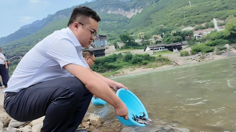 将鱼苗投入赤水河。