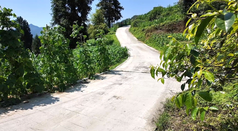 通畅的乡村道路。