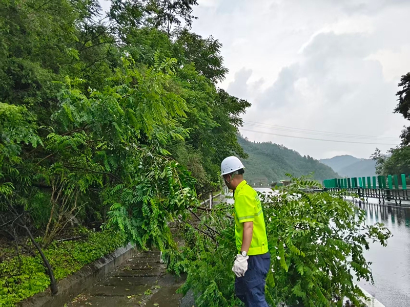 毕节营运中心清理因暴雨倒伏树枝。赵本营摄.jpg