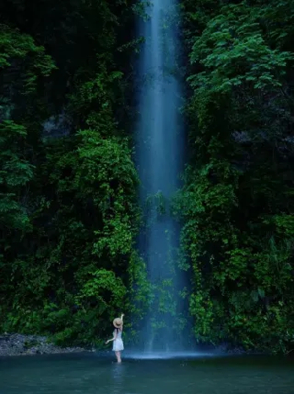 山野咖啡营地焕新而来。