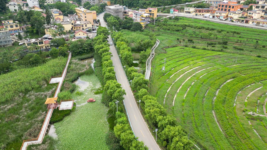 两河街道的绿化道路。