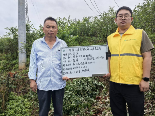 王庆购买种植保险。.png