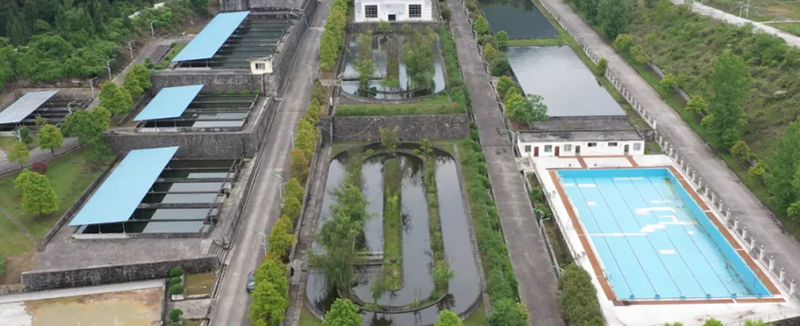 培育基地。