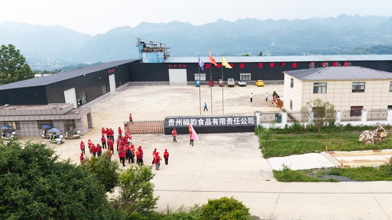 赫章县零工市场组织灵活就业人员到贵州椒韵食品有限责任公司种植基地做零工。 李开进 摄.jpg