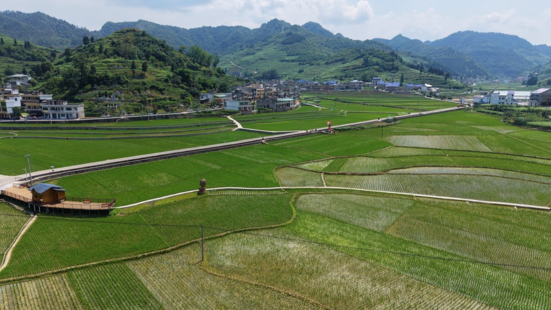 茅坝镇官院坝区。.jpg