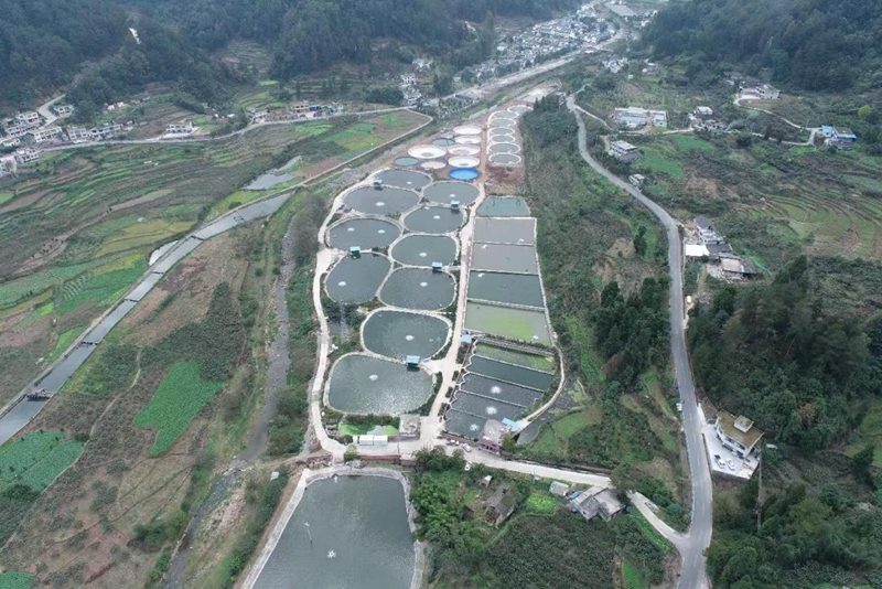 息烽县鹿窝镇老窝村江盛源鲈鱼基地.jpg