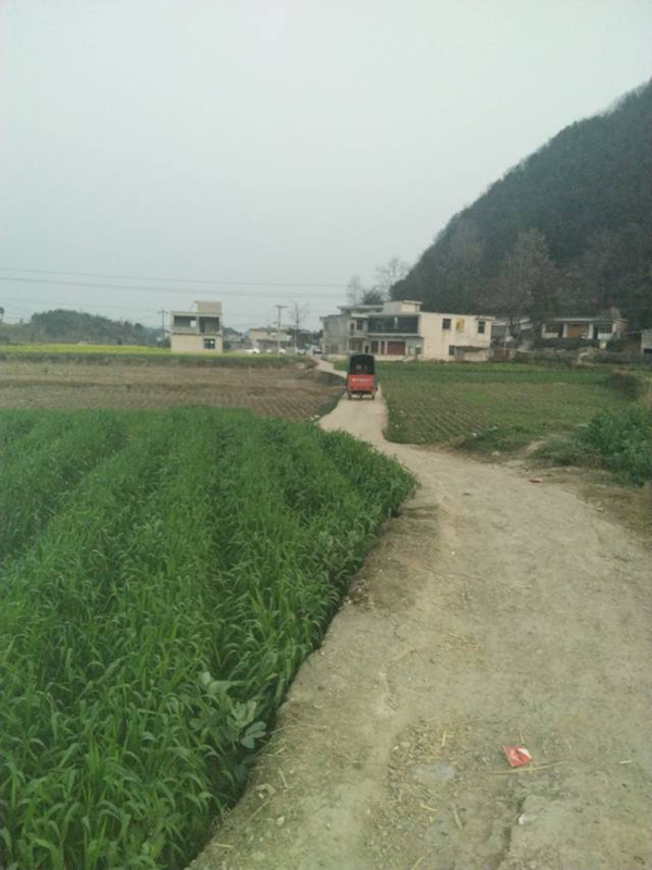 道路改造前。