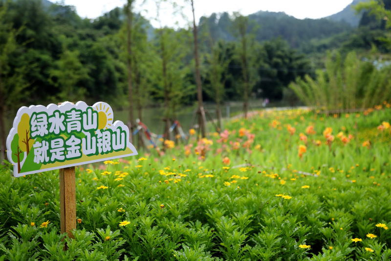 荔波樟江幸福河湖项目现场。