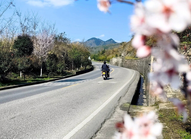2 图为G551线公路一角（都匀公路管理局供图）.jpg