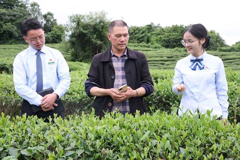 调研。