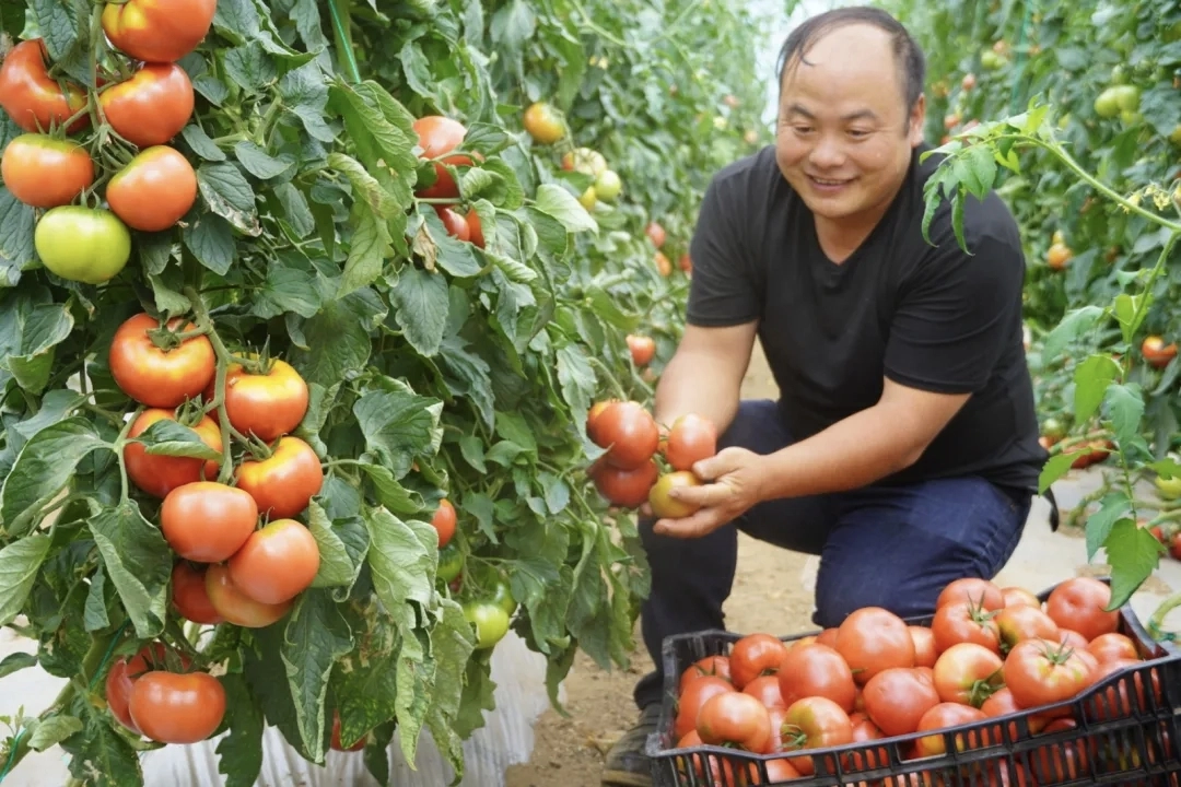 2025年贵州省“最美科技工作者”李世瑶。