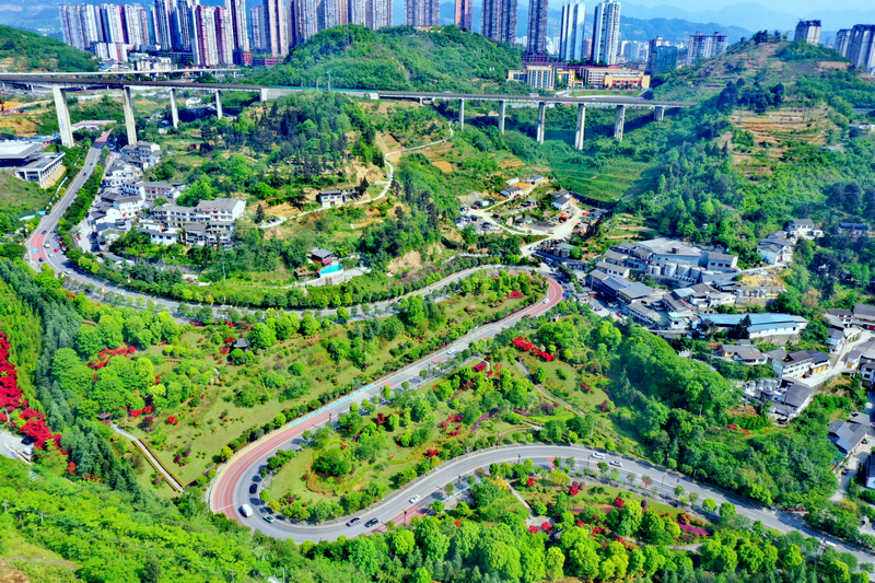 進入茅台鎮的G212公路。