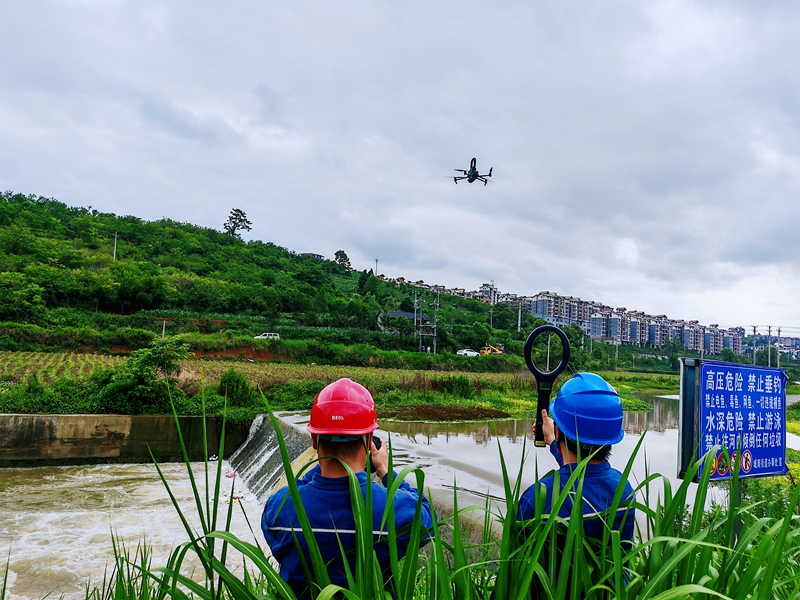 “空中侦察兵”。卢关文 摄.jpg
