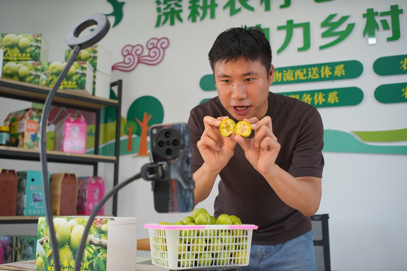 主播将李子掰开展示果肉。.JPG
