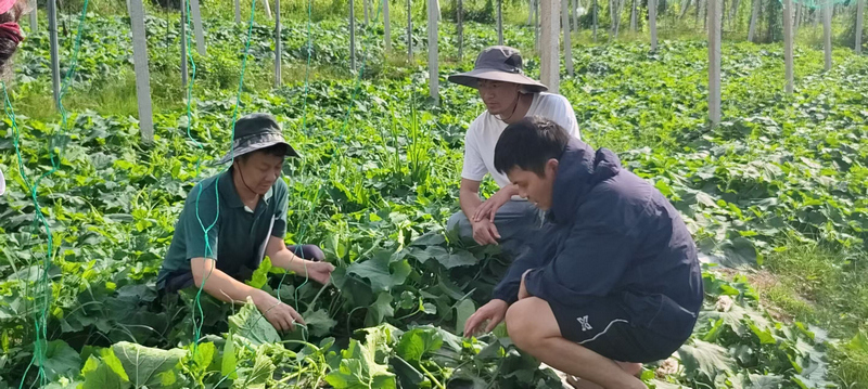 省级科技特派员在小七孔马铃薯示范基地指导工作。