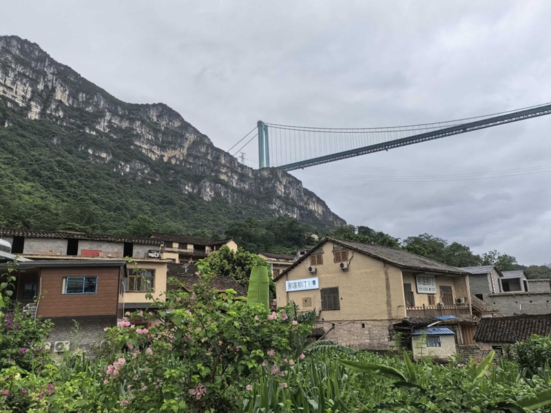美丽家园。.jpg