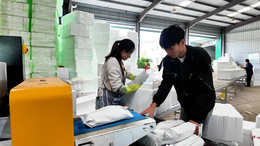 图为工人忙着打包冰块。