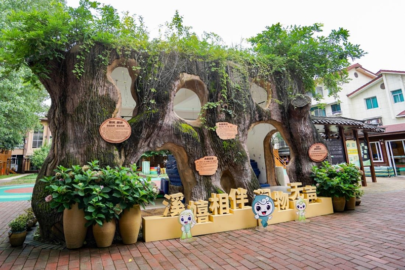 幼兒園一角。花溪幼兒園供圖.jpg