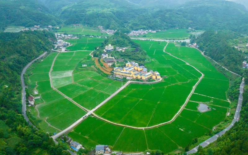 行进中国 | 贵州岑巩：稻田青青乡村美