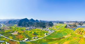 六枝木岗万亩油菜花