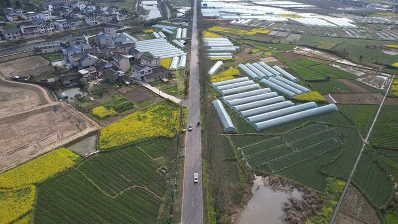 2 图为国道243线新接养路段公路串联特色农业.jpg