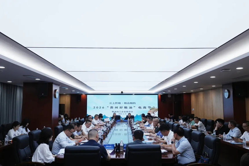 座谈会现场。