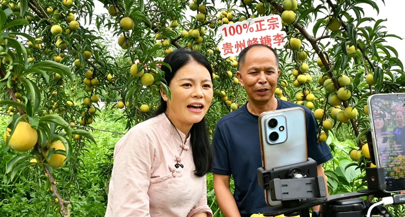 直播现场.jpg