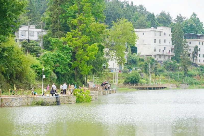 贵州万山：一湾清水“流金” 生态变现绘就富民新图景。
