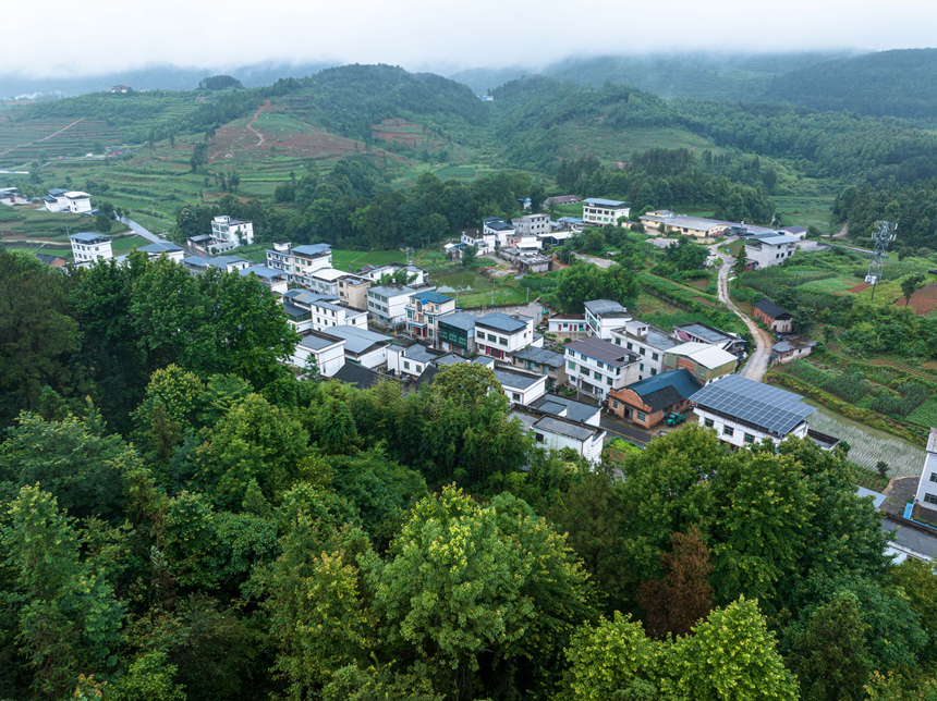 无人机高空禁毒踏查画面。