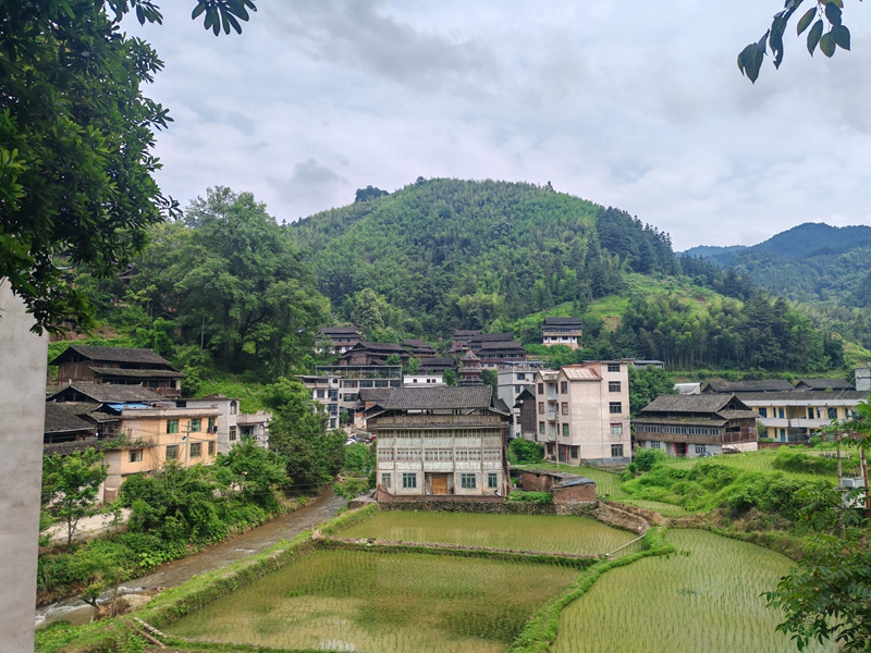 顺化瑶族乡高泽村高泽寨2026年图片。
