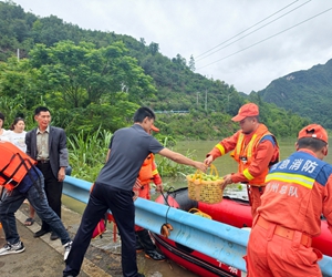 500亩蜂糖李遇洪水难出山
