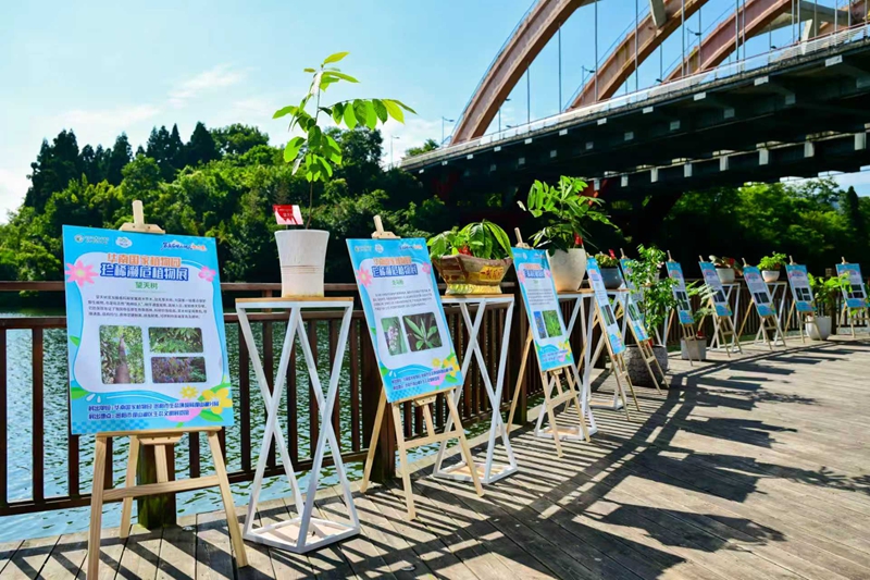1、在貴陽市觀山湖區生態文明展覽館展出的珍稀瀕危植物。.jpg