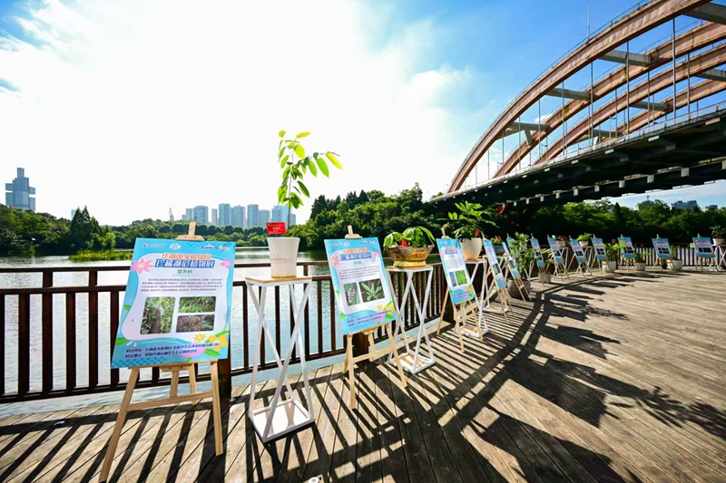 2、展覽現場。.jpg