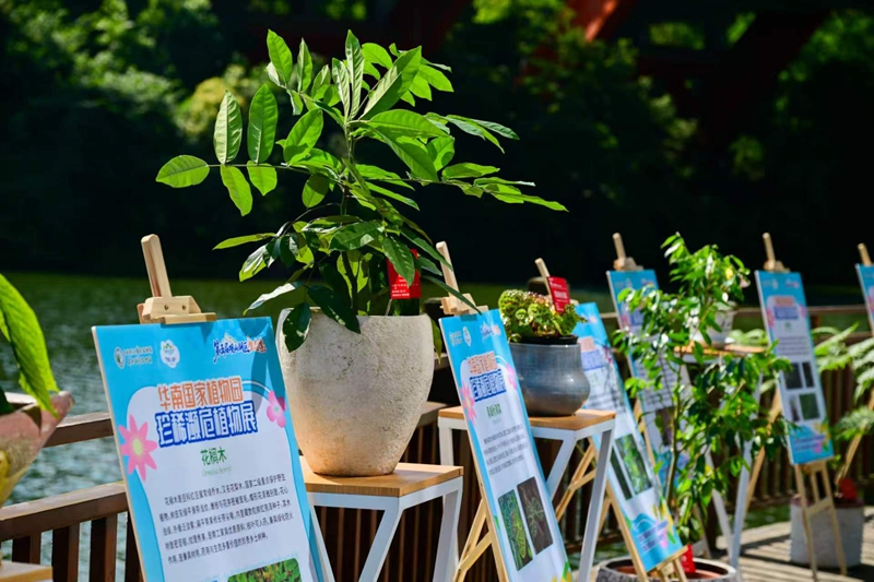 4、展覽現場全方位呈現各類植物的外形特征、生存困境與保護價值 。.jpg