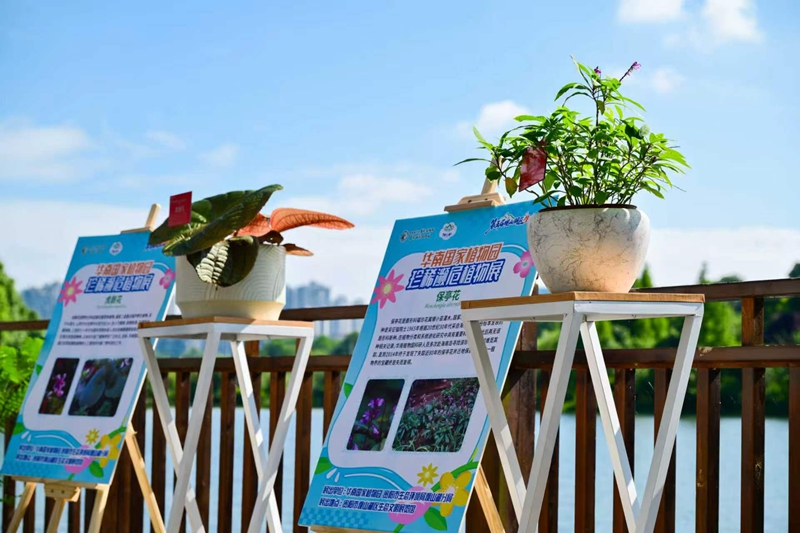5、展覽現場全方位呈現各類植物的外形特征、生存困境與保護價值 。.jpg