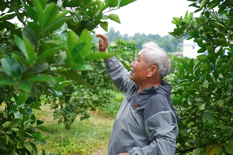 罗仁清 (1).JPG
