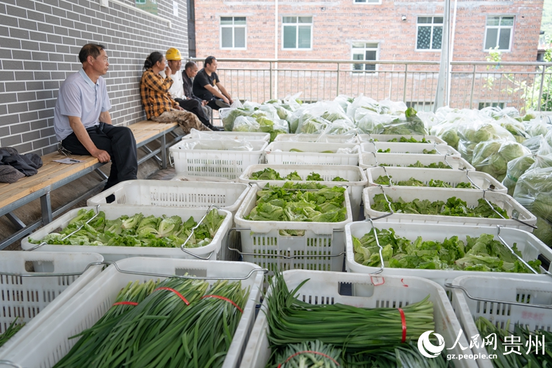 在温水镇蔬菜保供集散中心，工作人员将新鲜蔬菜打包装车，发往学校食堂。人民网 阳茜摄
