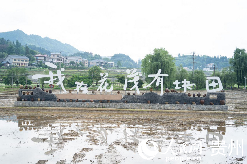 花茂村。人民网 阳茜摄