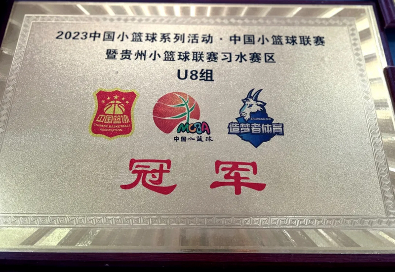 温水镇下坝小学获得的奖牌。王烨摄