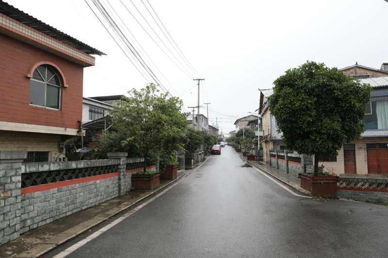 雨后平原哨。
