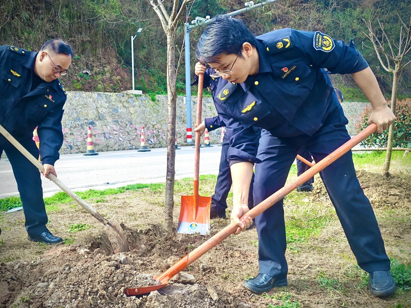 3 大队长薛佩鹏在植树