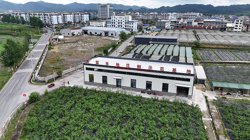 云雾镇花椒示范基地。黄欣宇摄