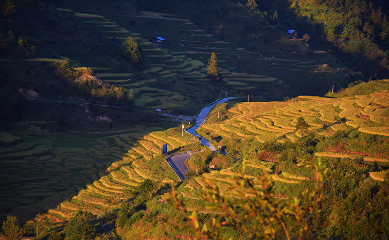 黎平县双江镇黄岗村大弯香禾糯田秋景。吴光辉摄