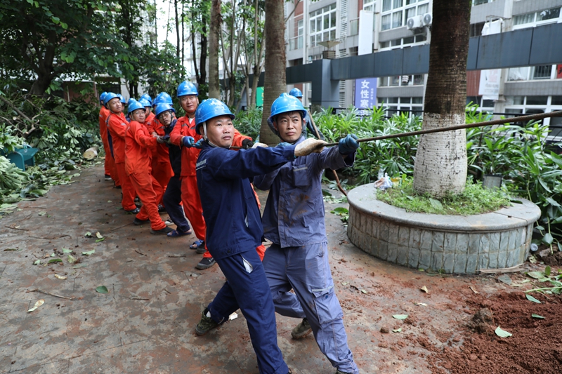 3、針對貴港龍鳳嘉苑小區配電房內澇問題，南方電網貴州都勻供電局搶修人員清理樹障，加快投運變壓器，保障居民用電。王露 攝.jpg