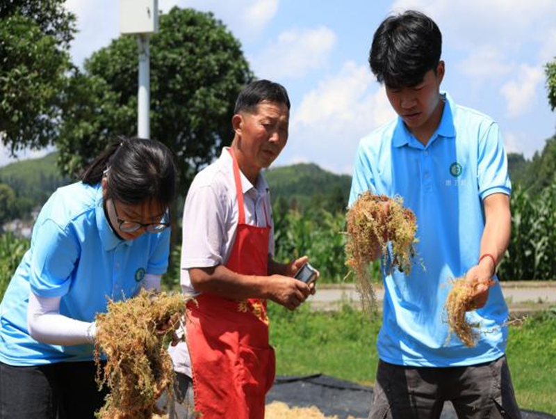图为队员向村民了解海花相关知识。刘瑶摄