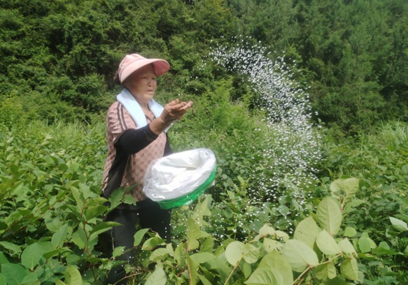 抛洒施肥.jpg