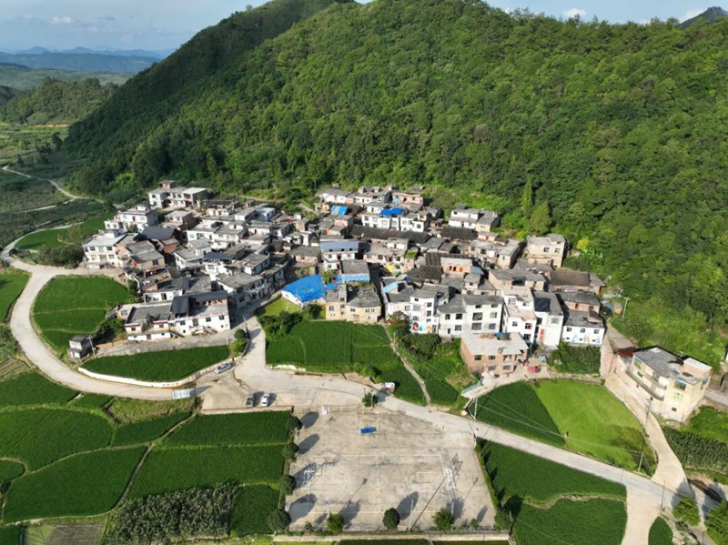 周覃镇新园村。